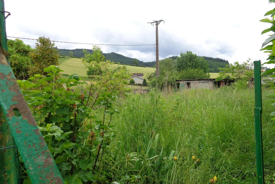 Maison de campagne à Lamure-sur-Azergues - Maison en pierre avec terrain et potentiel 