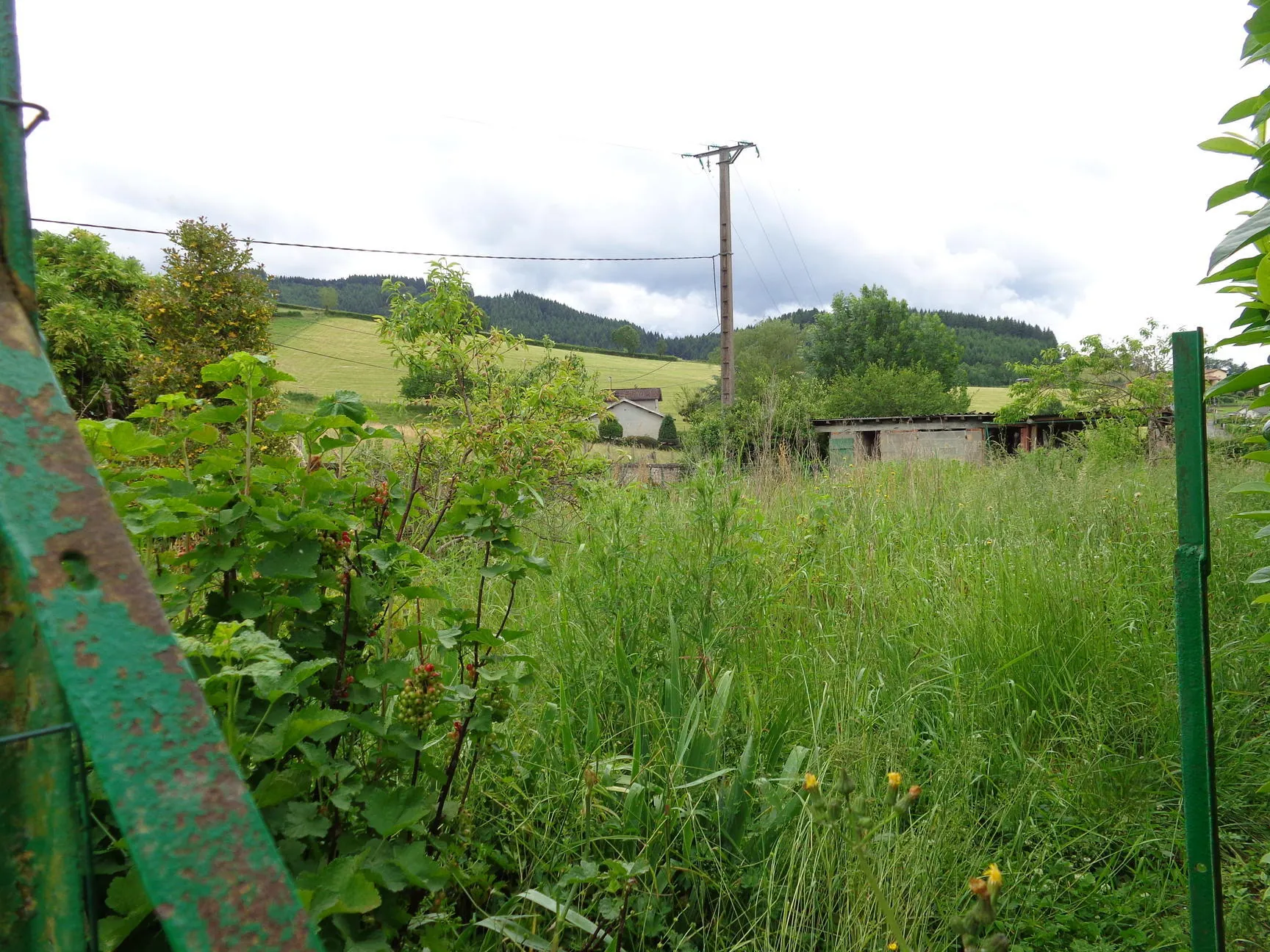 Maison de campagne à Lamure-sur-Azergues - Maison en pierre avec terrain et potentiel 