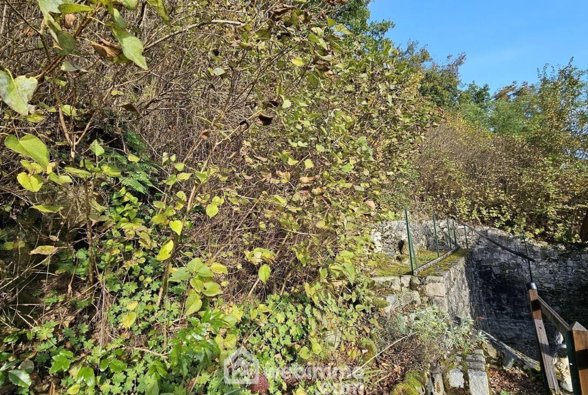 Maison en pierre de 100 m² avec grand terrain à Boigneville 