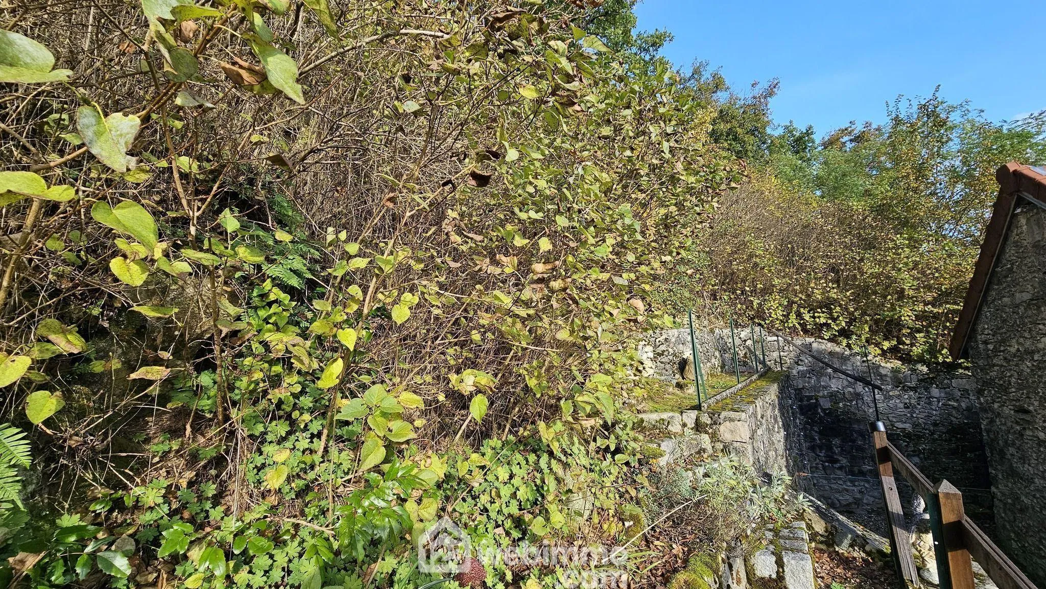 Maison en pierre de 100 m² avec grand terrain à Boigneville 