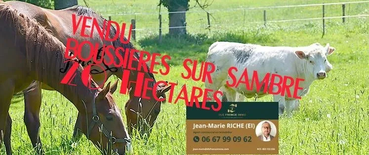Terrain agricole de 21 hectares à vendre à Boussières-sur-Sambre 