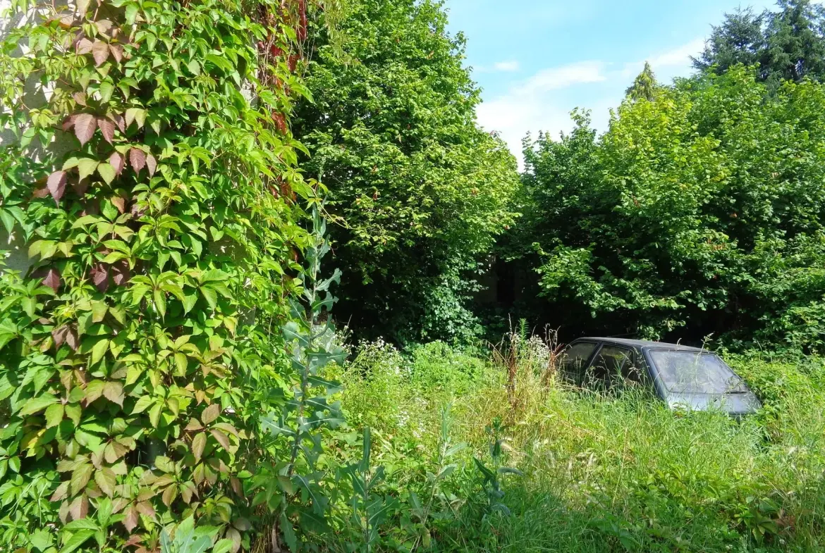 Maison à rénover avec terrain à Grandris - Investissement idéal 