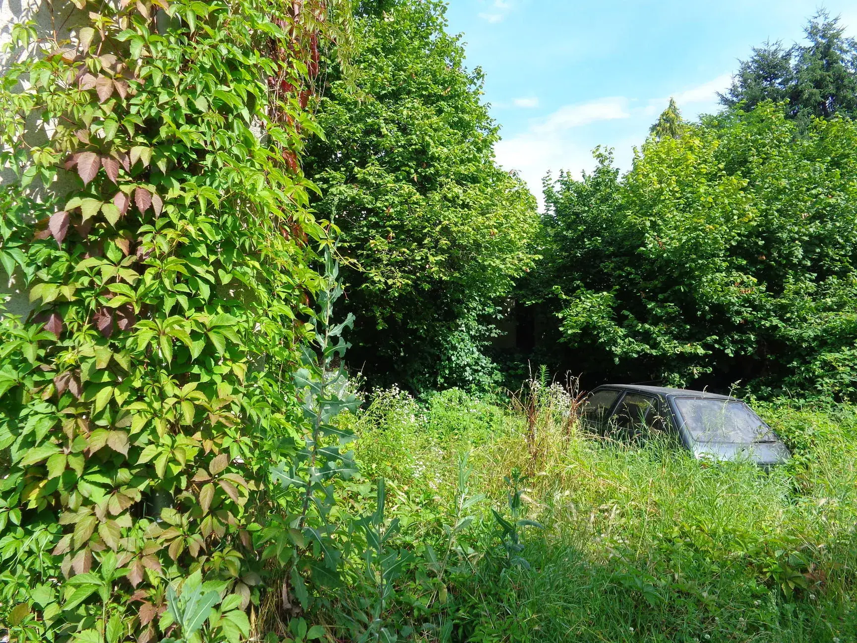 Maison à rénover avec terrain à Grandris - Investissement idéal 