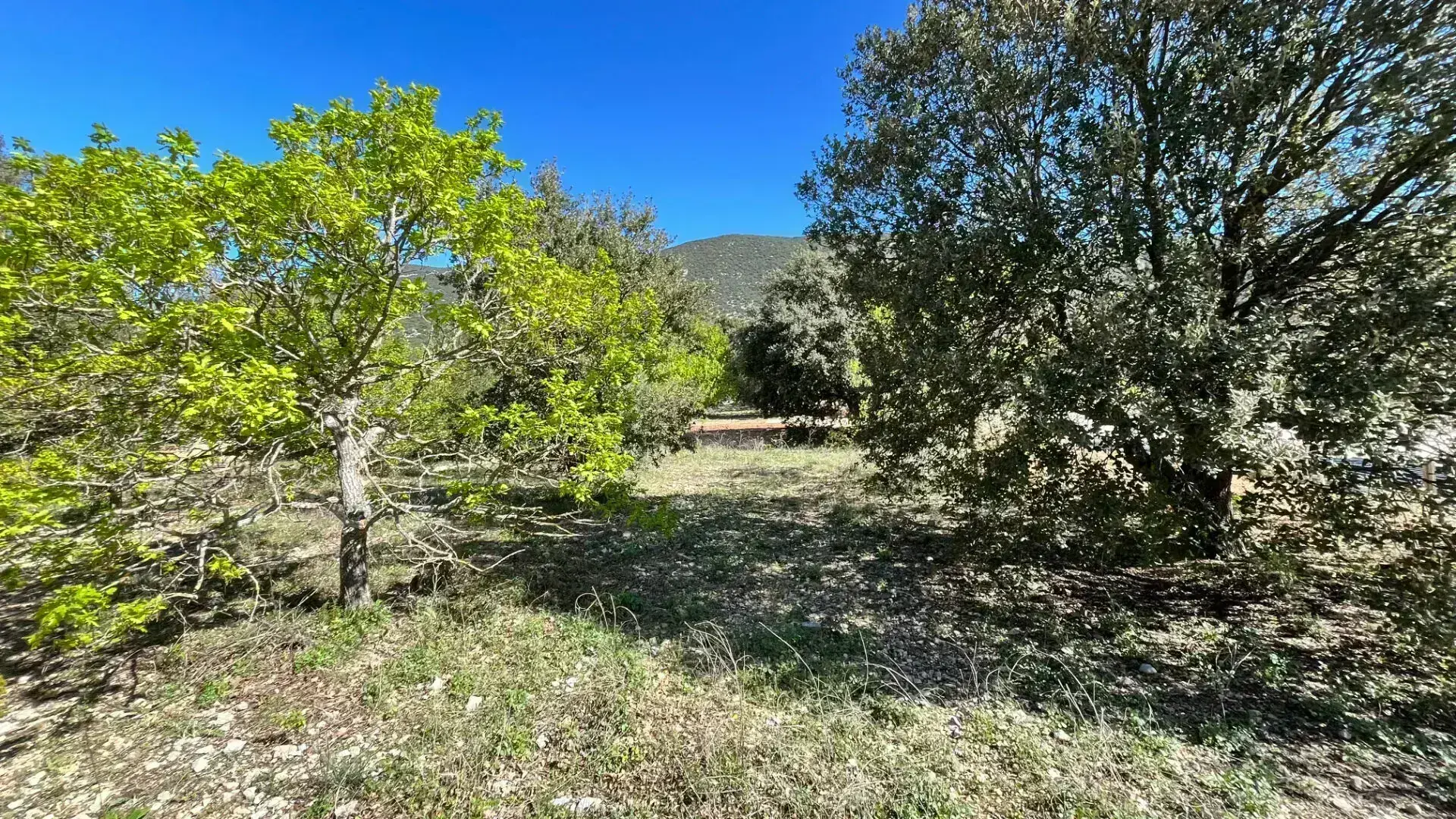 Terrain à vendre à Rustrel face au Colorado - 865 m² viabilisé 