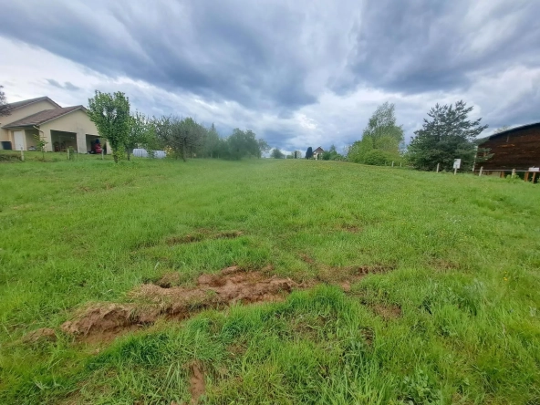 Terrain constructible de 1800 m² à Épinal, environnement calme et proche de la ville