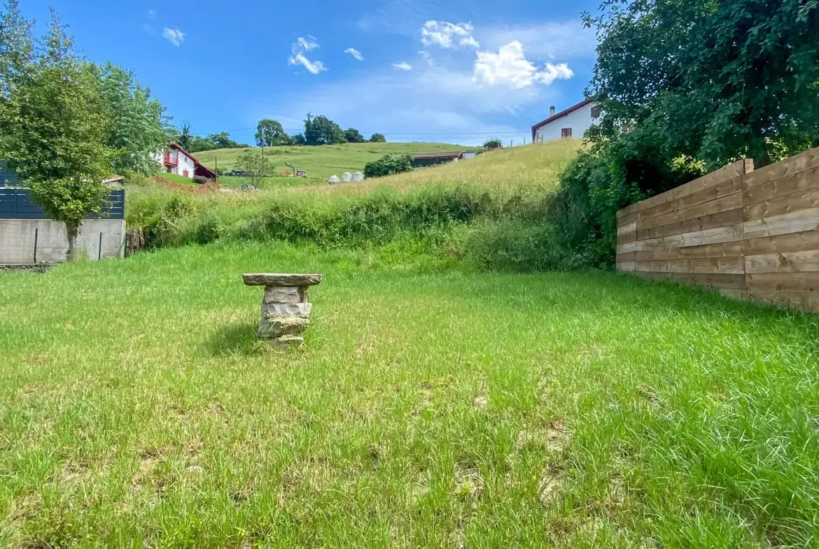 Maison basque rénovée avec vue montagne à Saint-Étienne-de-Baïgorry 