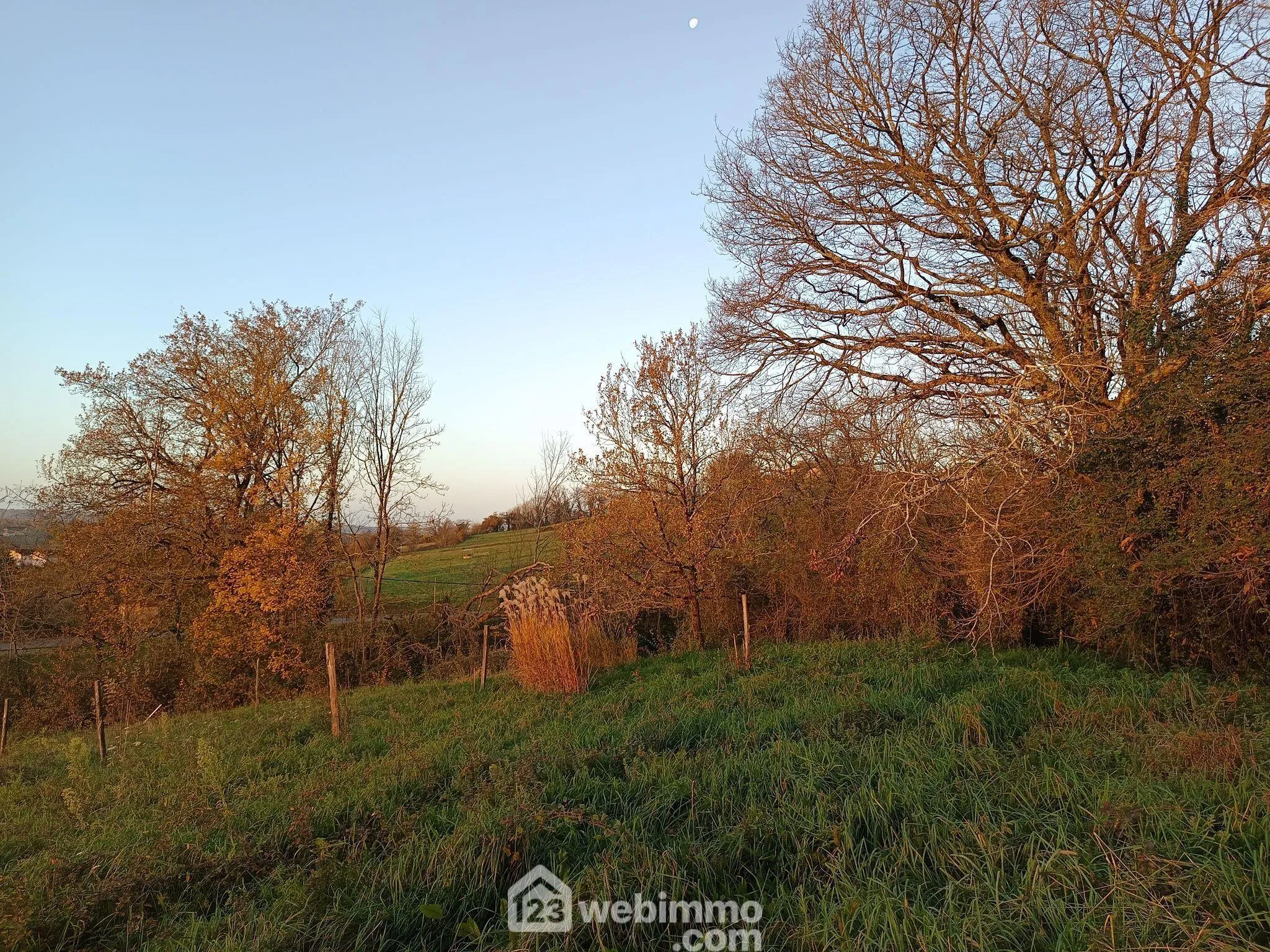 Magnifique ferme de charme à Casteide-Candau près de Pau avec dépendances et verger 