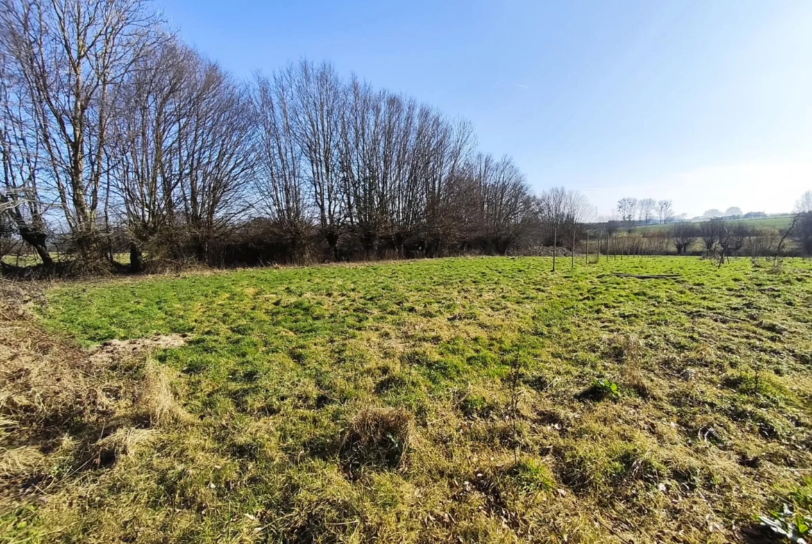 Terrain constructible de 12 000 m² à Hargnies proche forêt de Mormal 