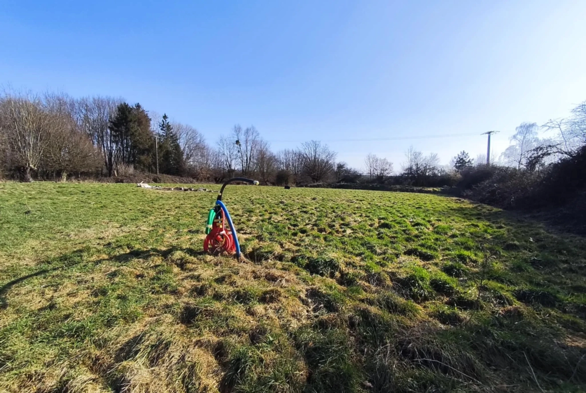 Terrain constructible de 12 000 m² à Hargnies proche forêt de Mormal 