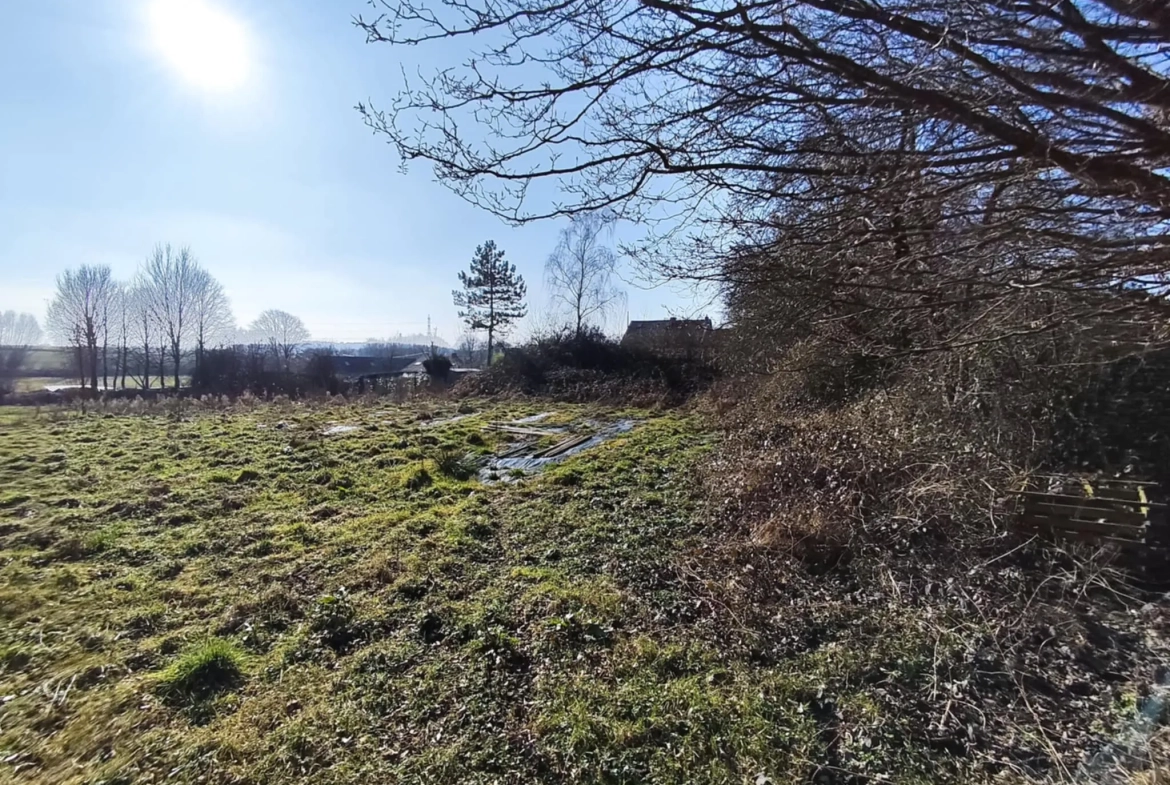 Terrain constructible de 12 000 m² à Hargnies proche forêt de Mormal 