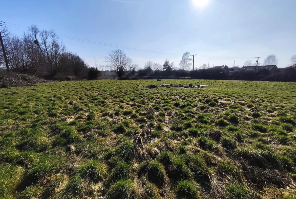 Terrain constructible de 12 000 m² à Hargnies proche forêt de Mormal 