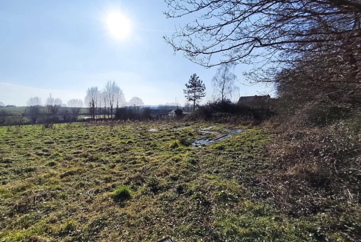 Terrain constructible de 12 000 m² à Hargnies proche forêt de Mormal 