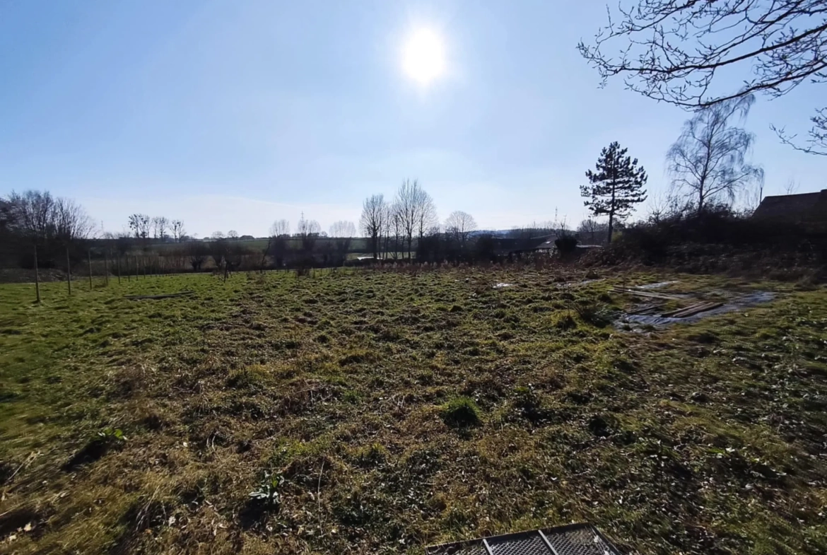 Terrain constructible de 12 000 m² à Hargnies proche forêt de Mormal 