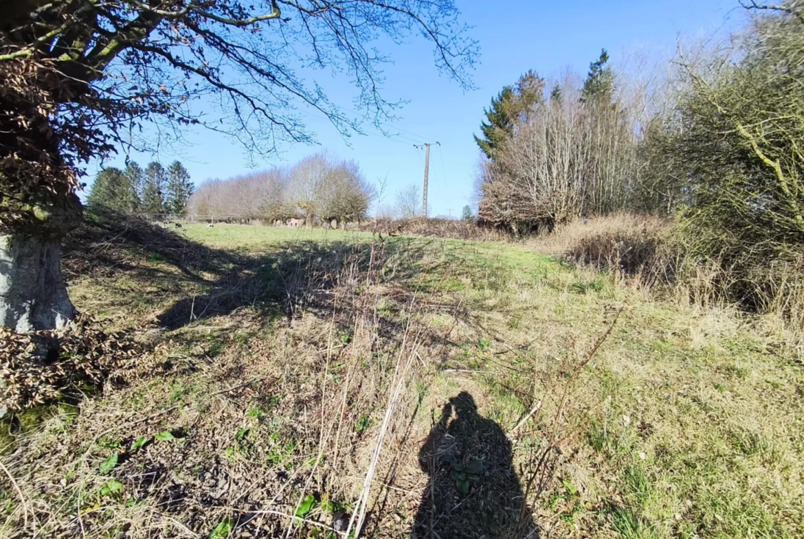 Terrain constructible de 12 000 m² à Hargnies proche forêt de Mormal 