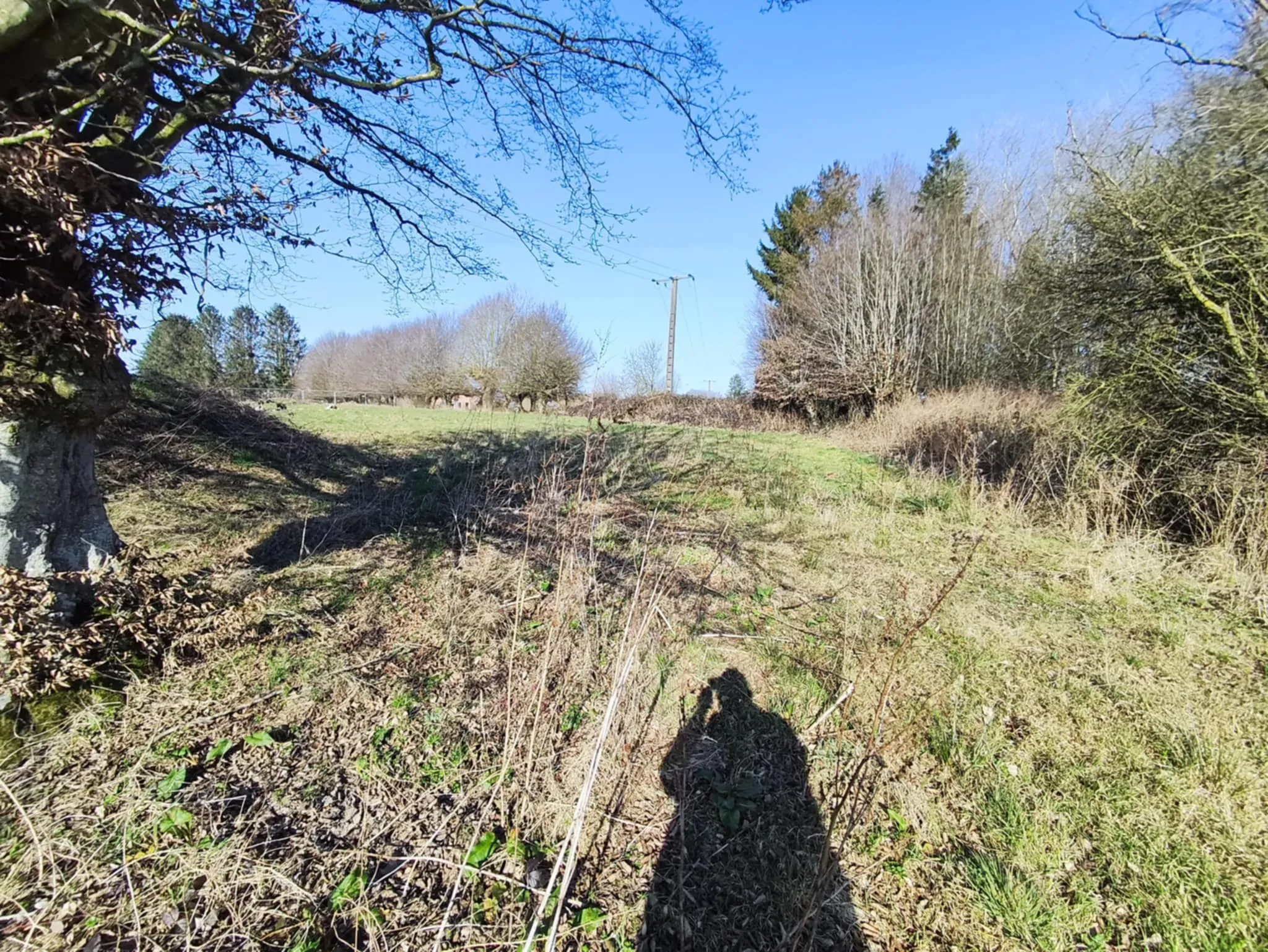 Terrain constructible de 12 000 m² à Hargnies proche forêt de Mormal 