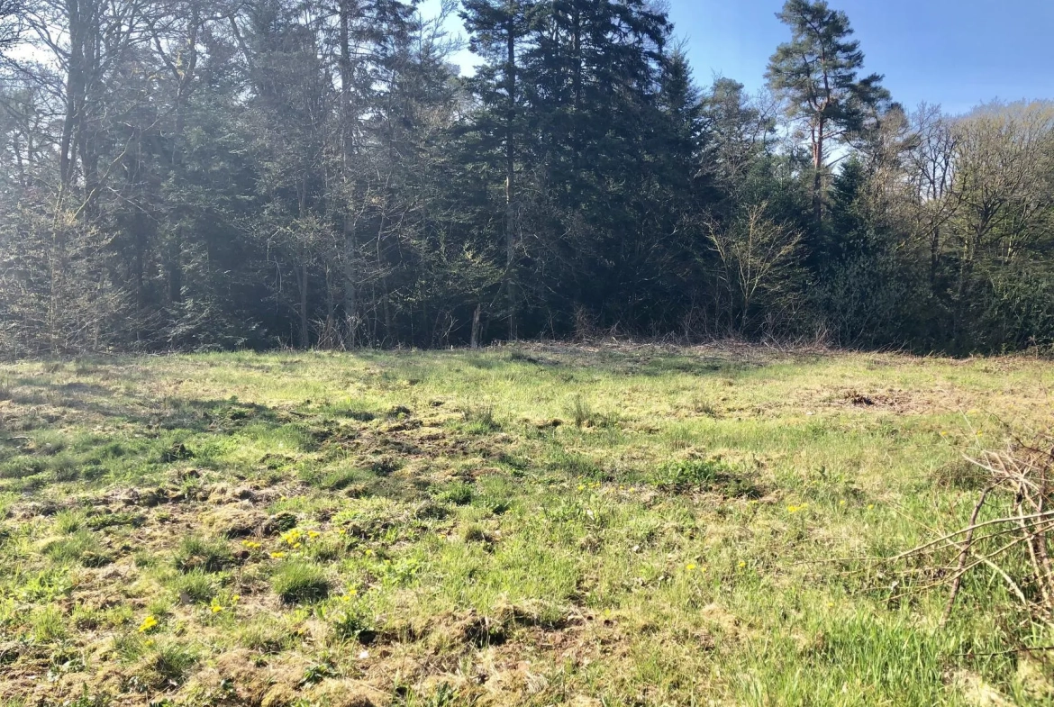 Terrain à vendre à Chantraine de 1466 m² viabilisé, calme et proche de la forêt 