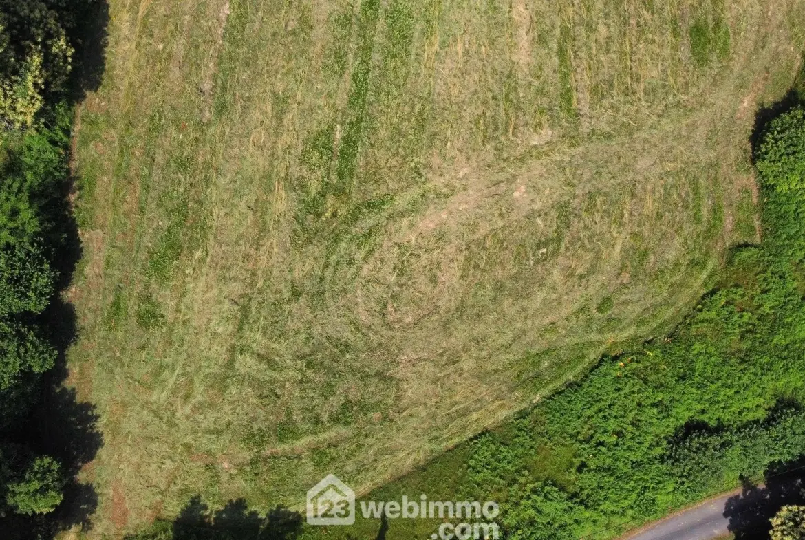 Terrain constructible de 1600 m² à Nay avec vue dégagée 