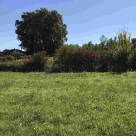 Terrain à bâtir à Langon avec vue dégagée et proximité du centre-ville