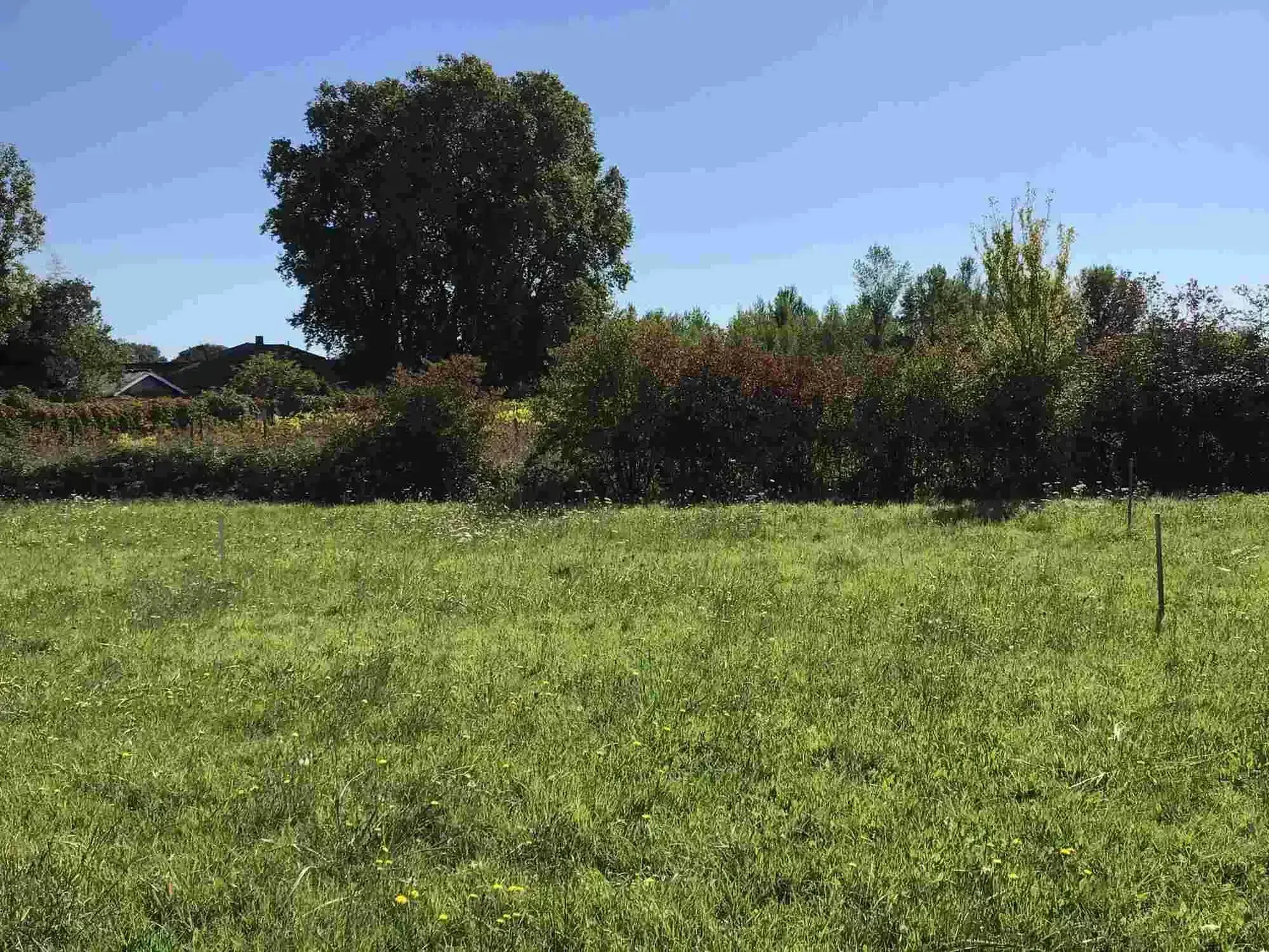 Terrain à bâtir à Langon avec vue dégagée et proximité du centre-ville 