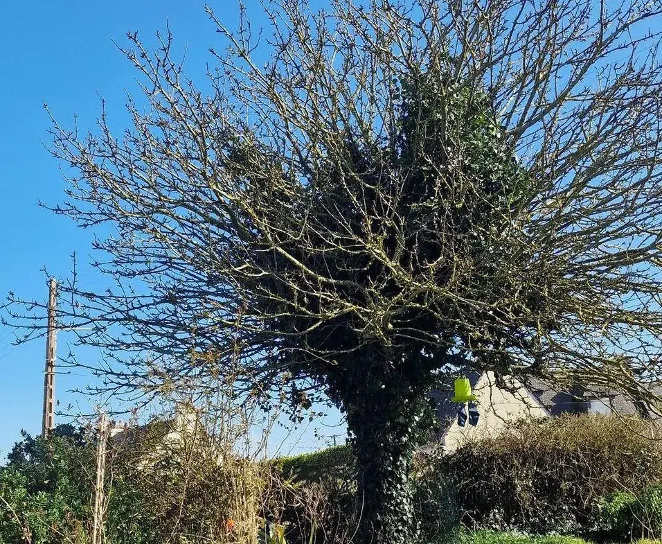 Maison en pierre à Plourivo avec jardin, proximité de Paimpol et authenticité 