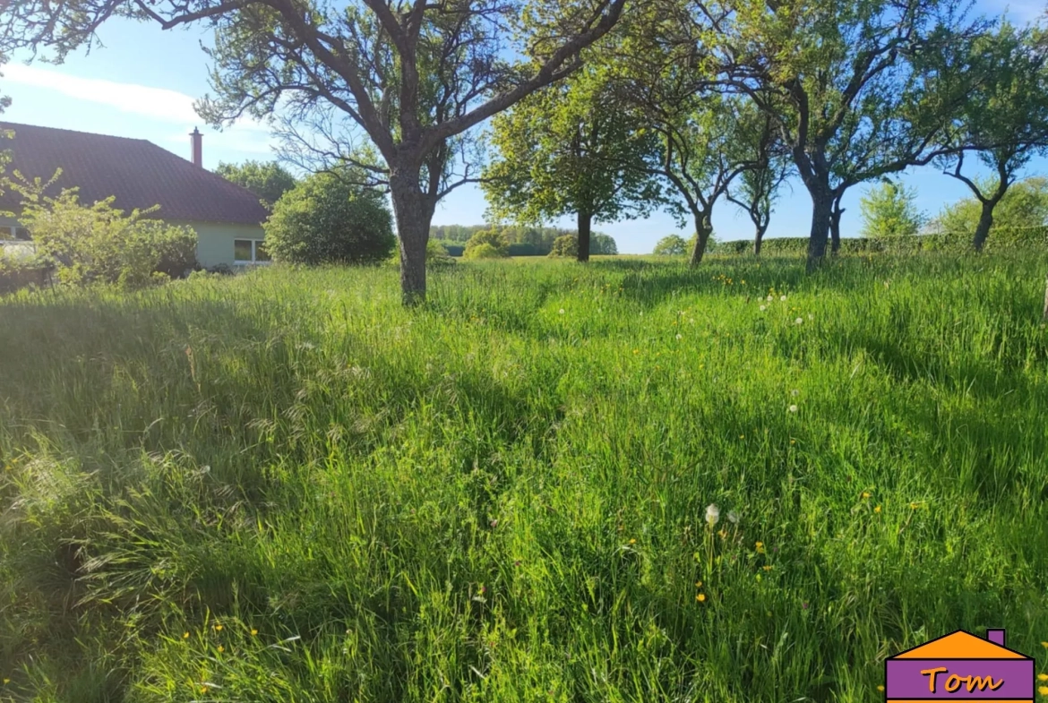 Terrain constructible de 1700 m² à Eschviller – Vue dégagée et environnement calme 