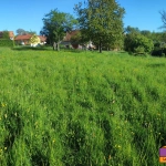 Terrain constructible de 1700 m² à Eschviller – Vue dégagée et environnement calme