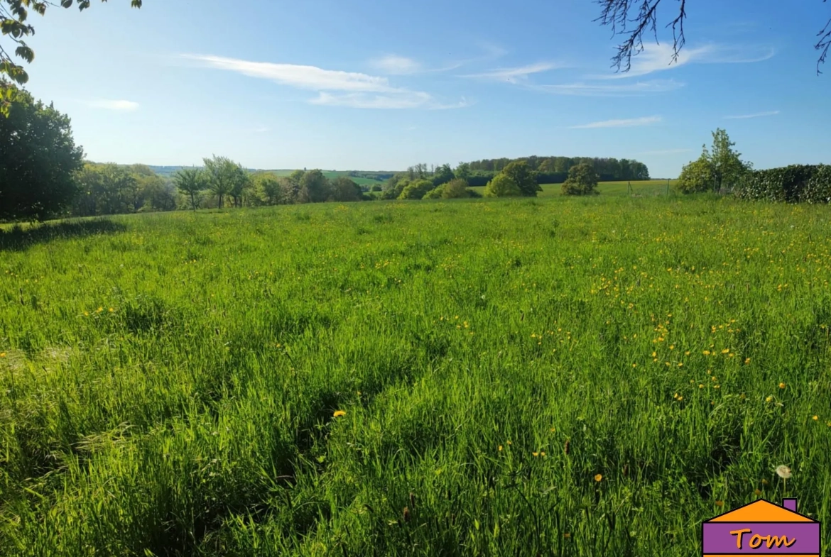 Terrain constructible de 1700 m² à Eschviller – Vue dégagée et environnement calme 
