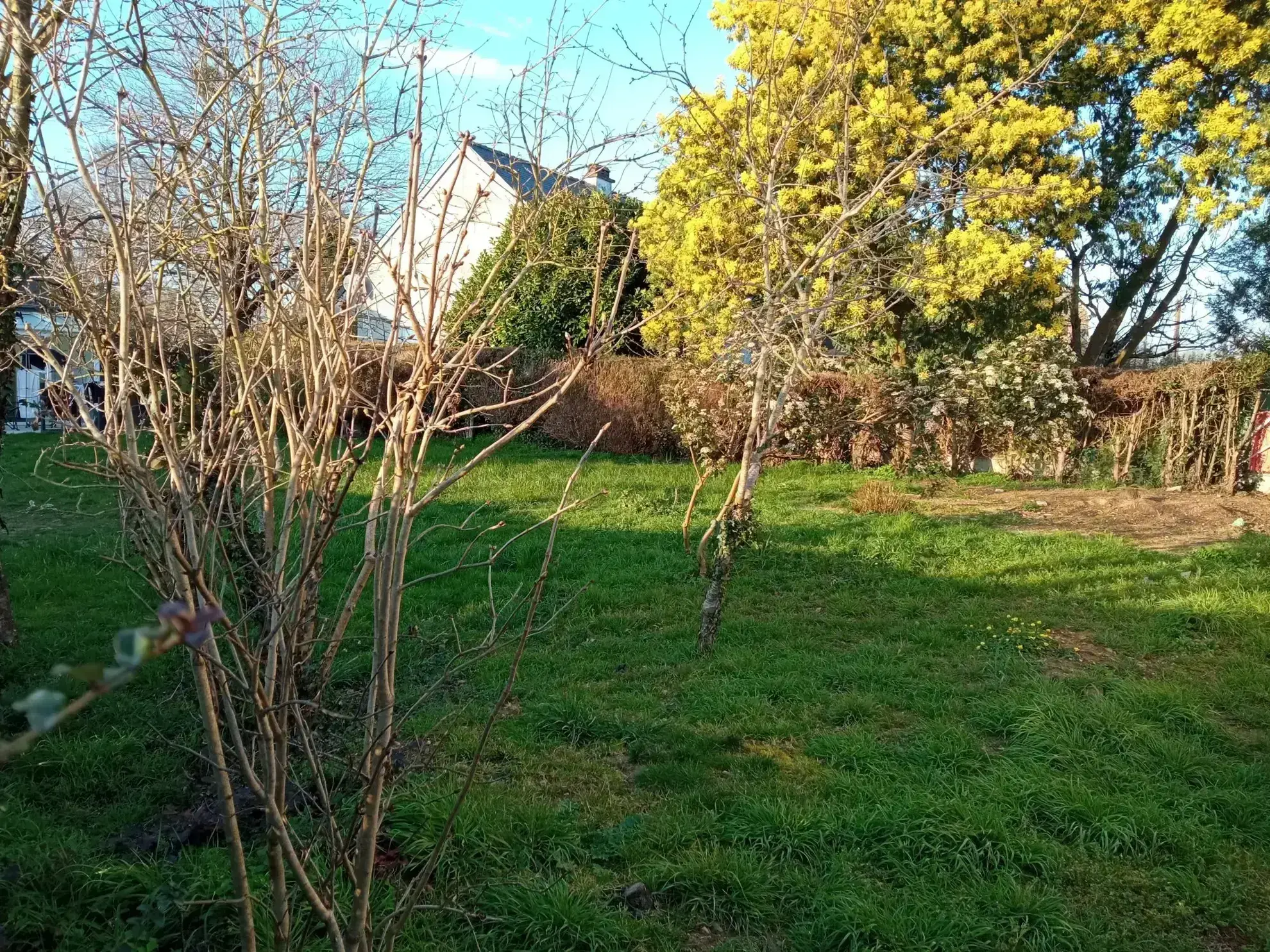Terrain constructible à vendre à Bruz, proximité commodités, 350 m² 