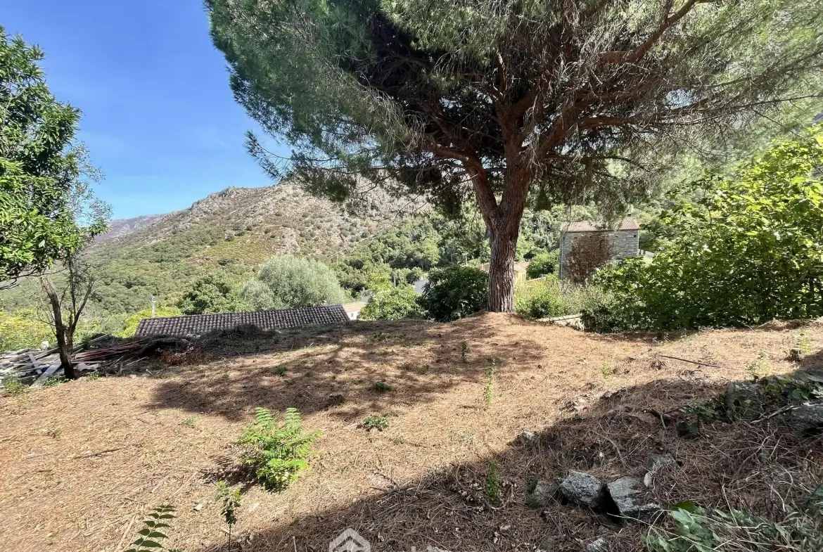 Appartement à rénover de 74 m² avec terrain à Muro - Opportunité rare 