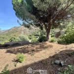 Appartement à rénover de 74 m² avec terrain à Muro - Opportunité rare