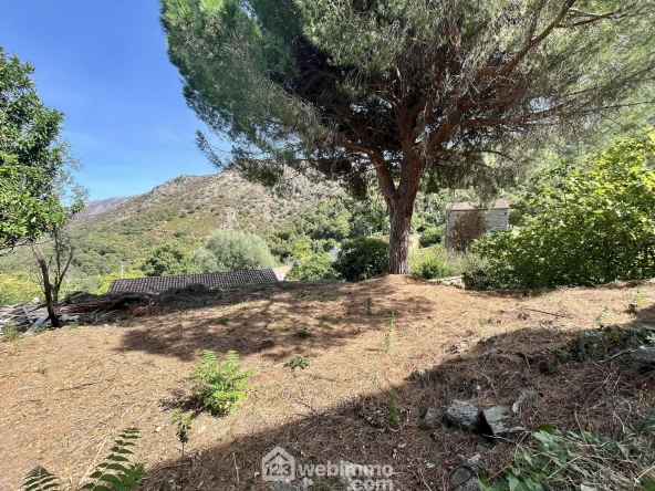 Appartement à rénover de 74 m² avec terrain à Muro - Opportunité rare