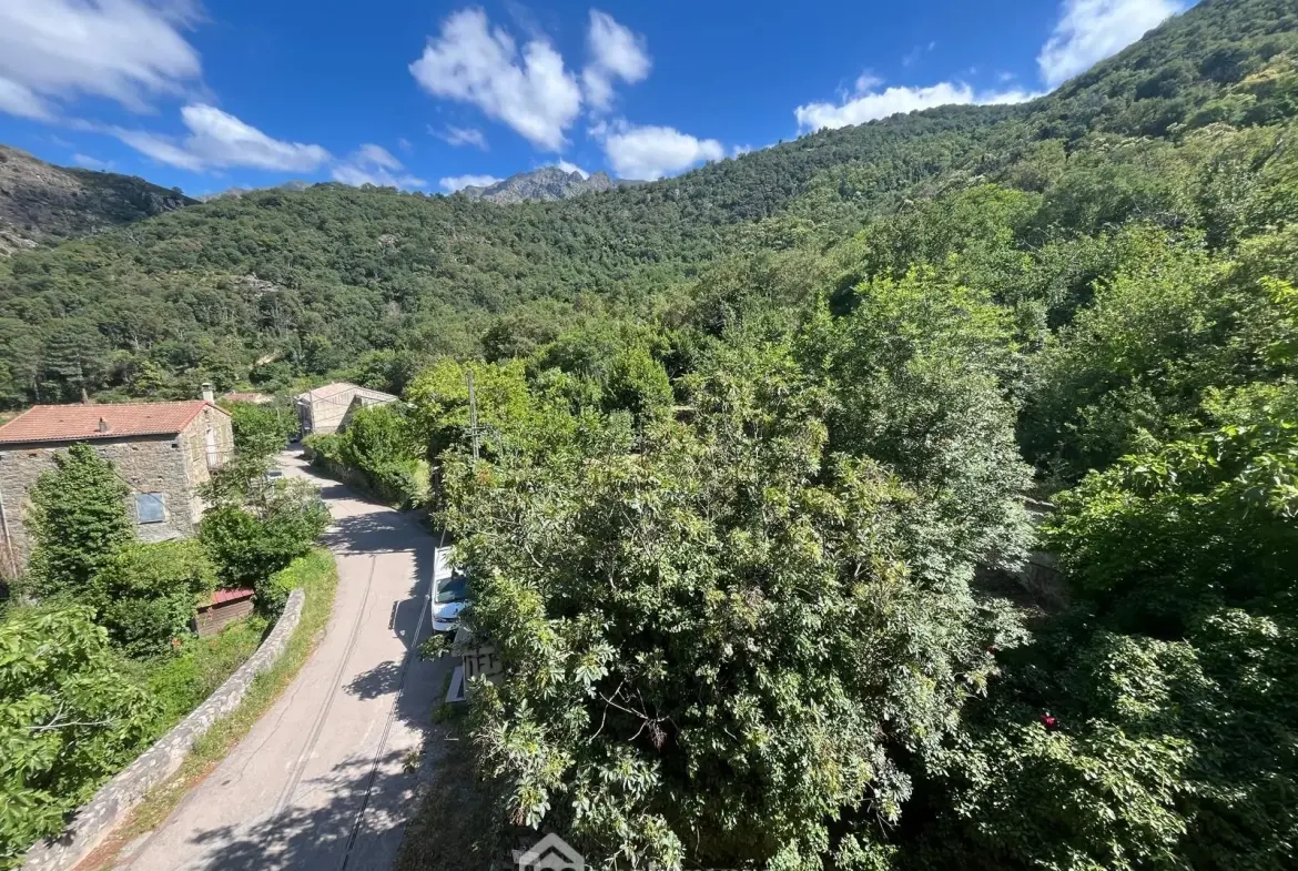 Appartement à rénover de 74 m² avec terrain à Muro - Opportunité rare 