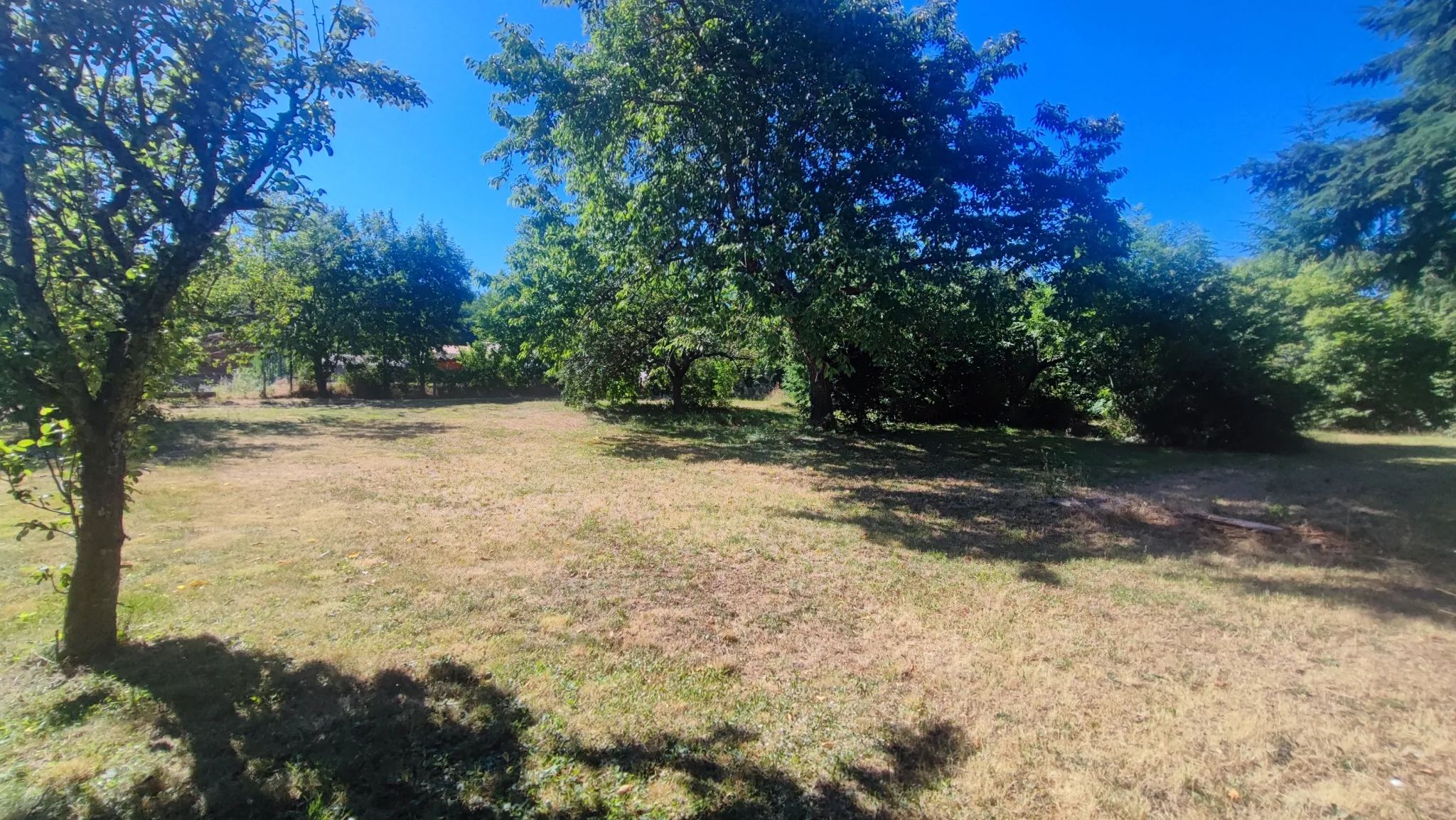 Terrain constructible de 1160m² à Alboussière, idéal pour maison sunny 