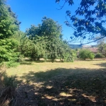 Terrain constructible de 1160m² à Alboussière, idéal pour maison sunny