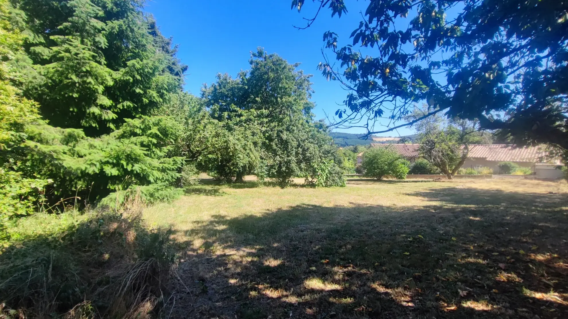 Terrain constructible de 1160m² à Alboussière, idéal pour maison sunny 