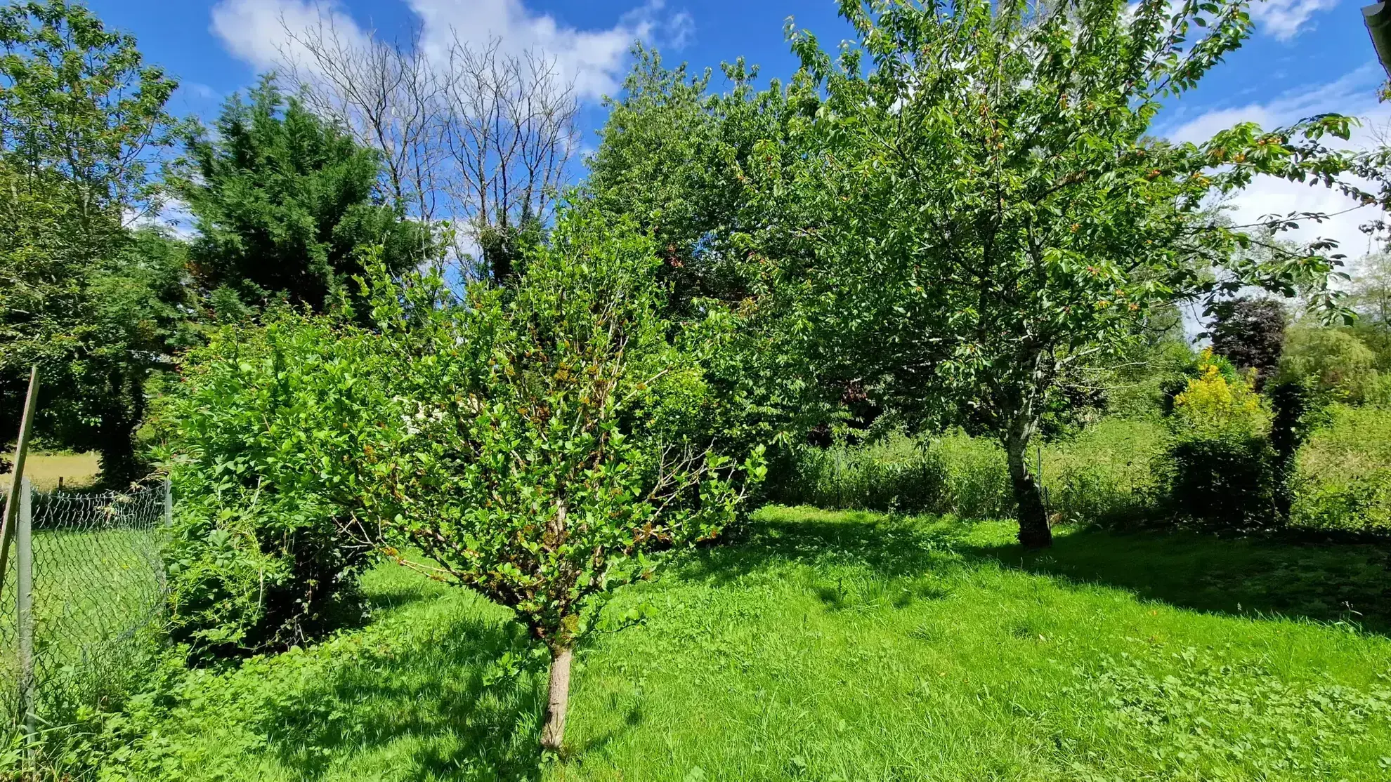 Maison individuelle à Lubersac avec jardin, terrasse et dépendance 