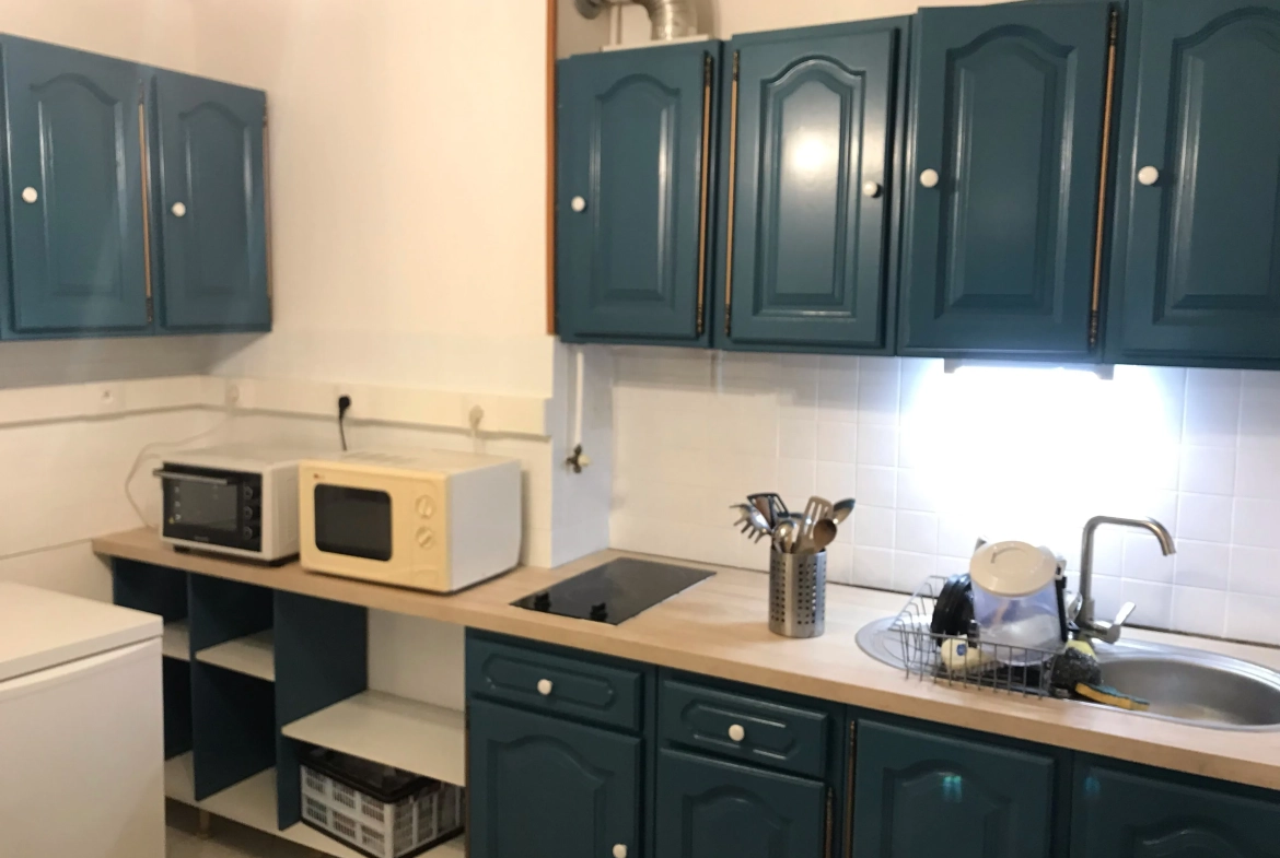 Appartement lumineux de 67 m² à Grenoble, proche parc Paul Mistral 