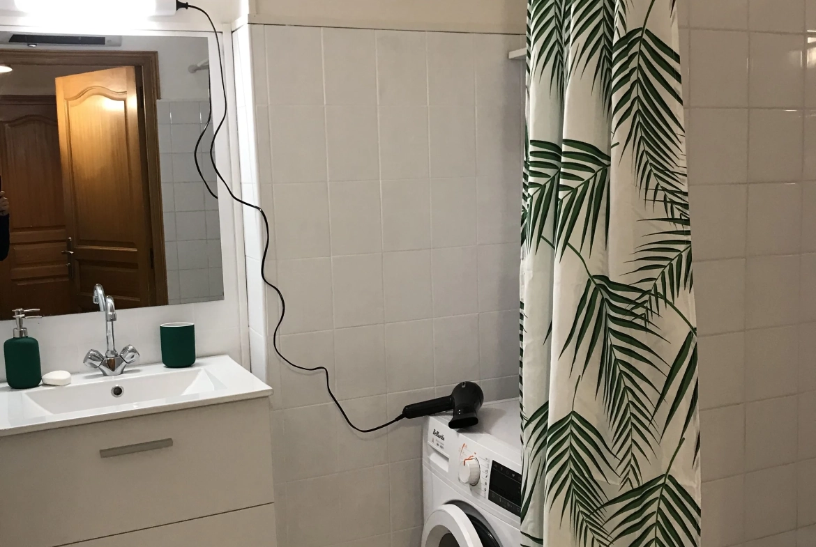 Appartement lumineux de 67 m² à Grenoble, proche parc Paul Mistral 