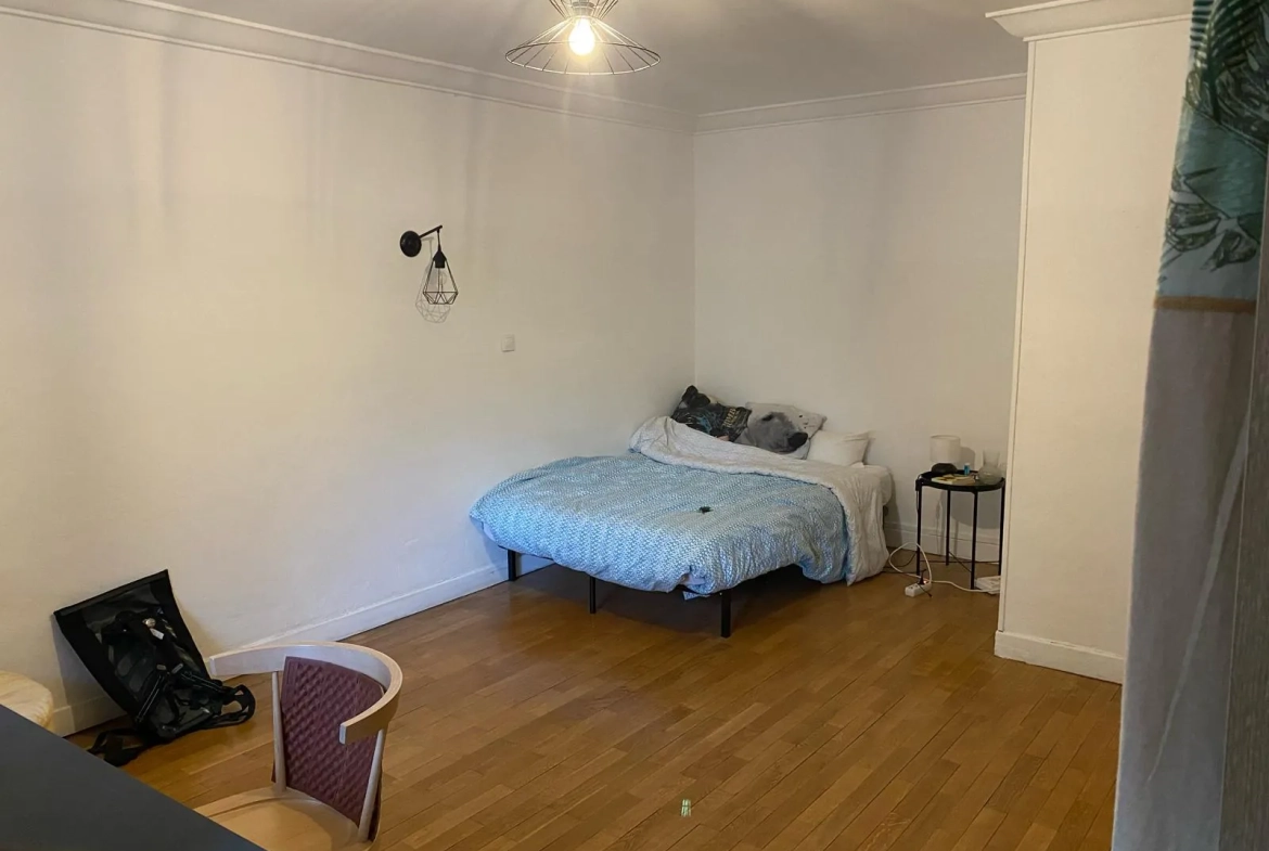Appartement lumineux de 67 m² à Grenoble, proche parc Paul Mistral 