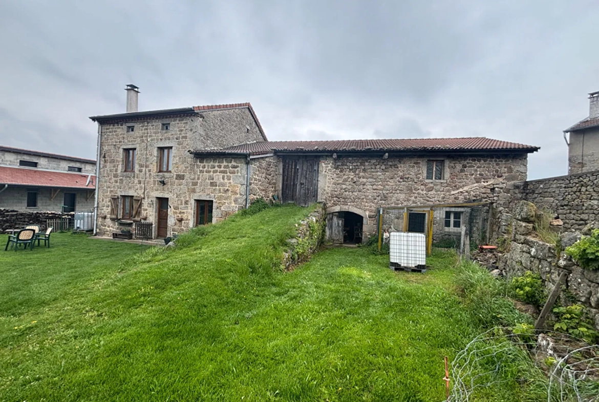 Ferme en pierre à rénover près de Saint Romain Lachalme avec dépendances et grand terrain 
