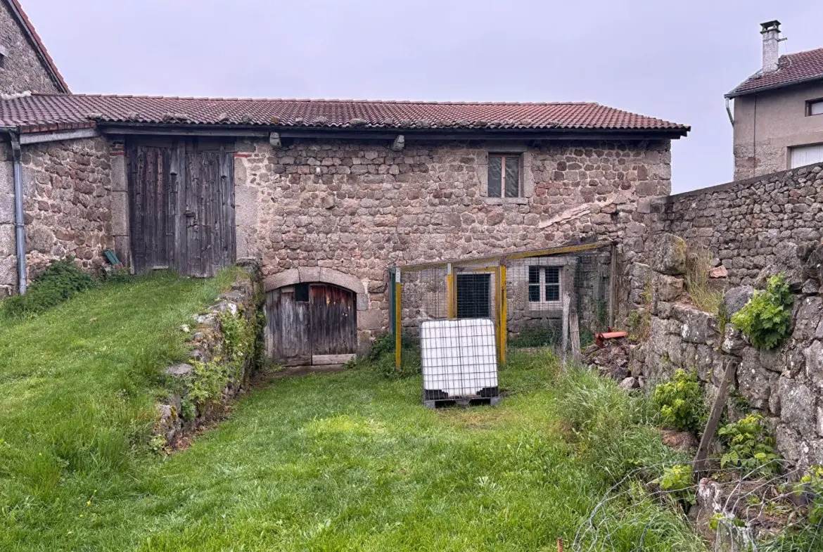 Ferme en pierre à rénover près de Saint Romain Lachalme avec dépendances et grand terrain 