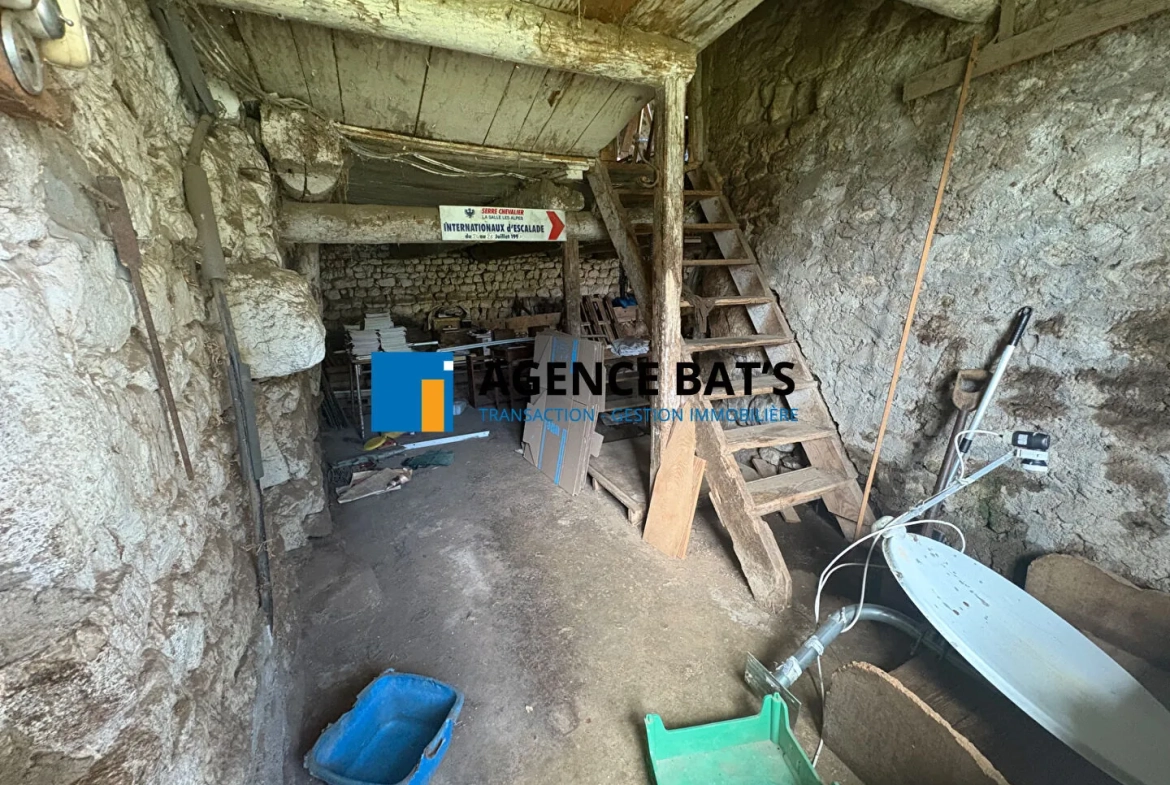 Ferme en pierre à rénover près de Saint Romain Lachalme avec dépendances et grand terrain 