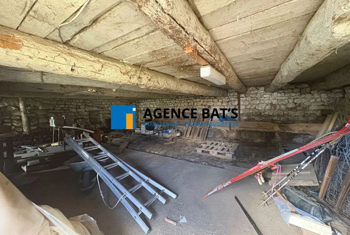Ferme en pierre à rénover près de Saint Romain Lachalme avec dépendances et grand terrain 