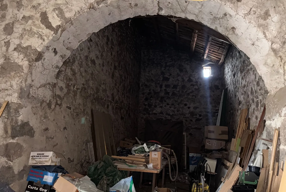 Ferme en pierre à rénover près de Saint Romain Lachalme avec dépendances et grand terrain 