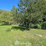Terrain constructible de 781 m² à Vayres-sur-Essonne avec source naturelle