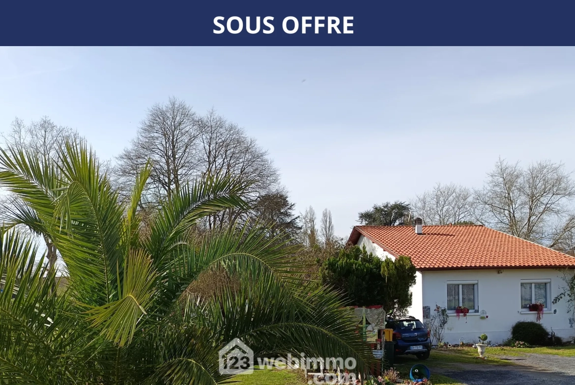 Charmante maison lumineuse avec grand potentiel à Sallespisse 