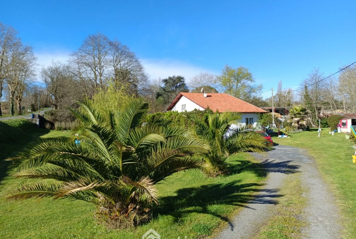 Charmante maison lumineuse avec grand potentiel à Sallespisse 