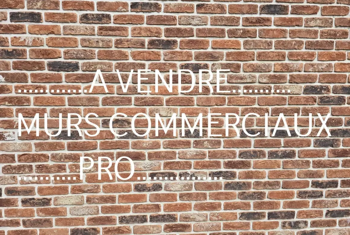 Investissement immobilier mixte avec atelier auto et habitation à Louvignies-Quèsnoy 