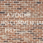 Investissement immobilier mixte avec atelier auto et habitation à Louvignies-Quèsnoy