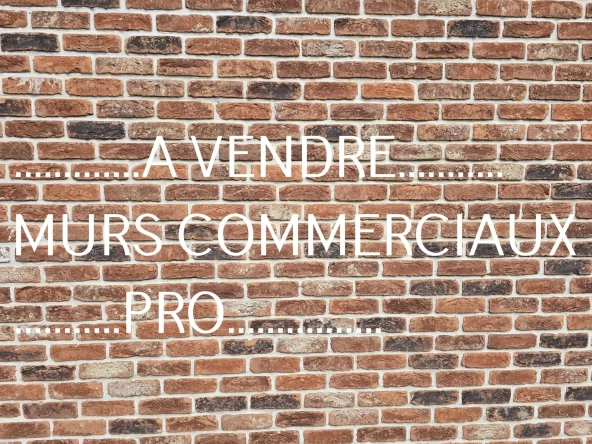 Investissement immobilier mixte avec atelier auto et habitation à Louvignies-Quèsnoy